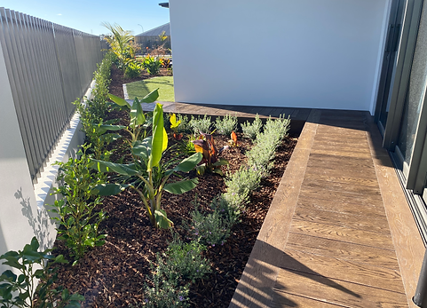 Landscaping Nelson - Planting experts