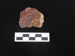 Stone scraper and tool