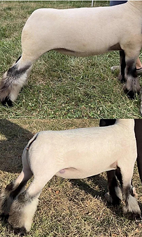 For one more week! Get 30% commission on new client order. (1).png