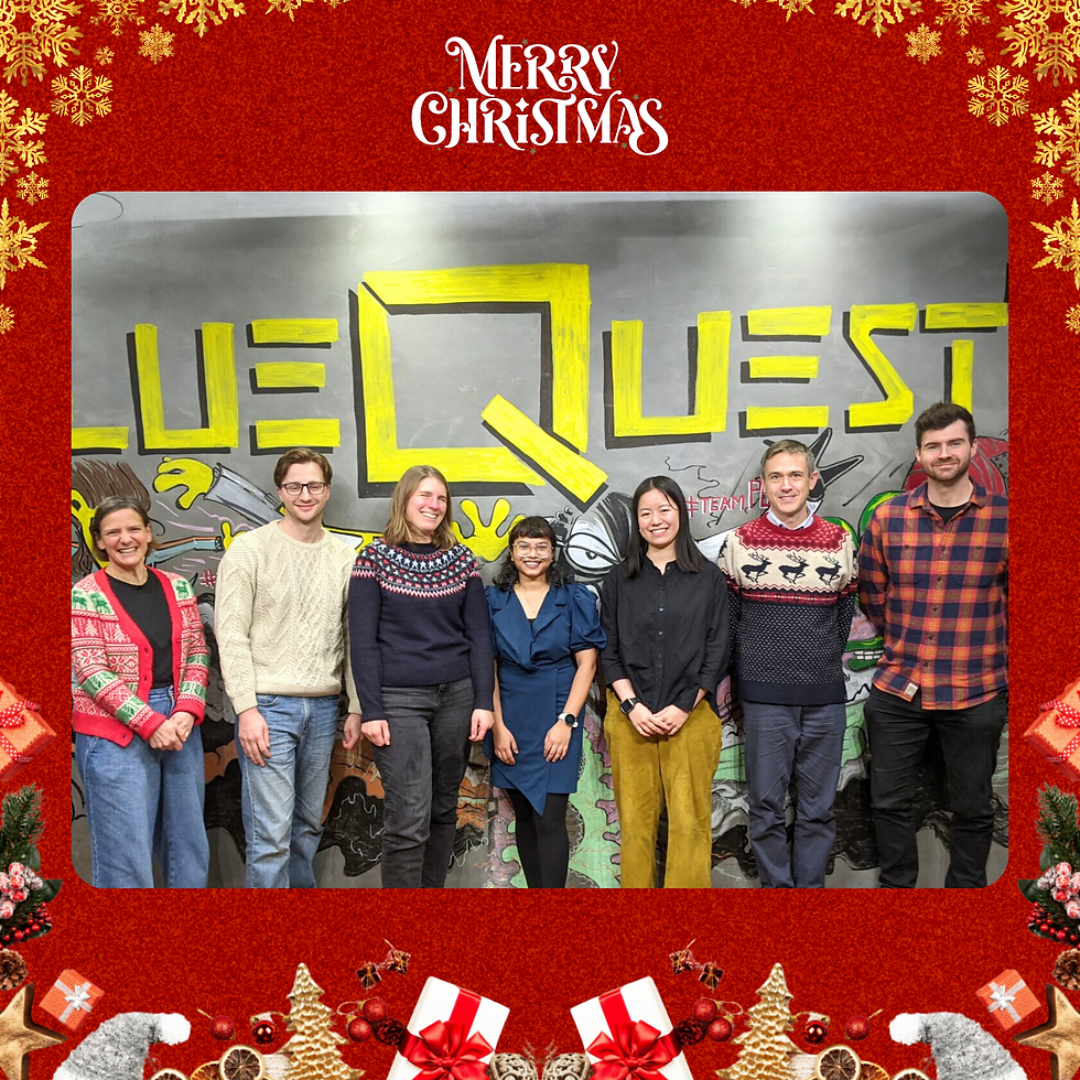 Read our latest Christmas Newsletter