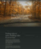 wix-headless-real-estate-website.jpg