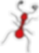 Lormiga-icono-blanco.png
