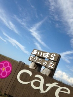 image (2)