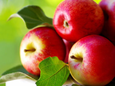 Food-1547.jpg