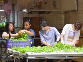 Summer Learning at PC: Get to Know our New Interns!