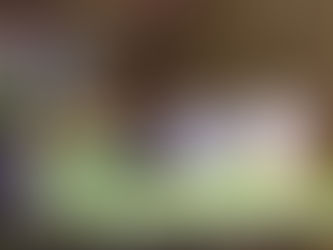 Summer Learning at PC: Get to Know our New Interns!