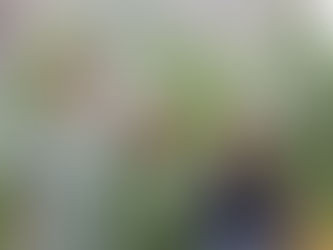 Summer Learning Had Us a Blast! Reflections From Our Summer 2022 Interns