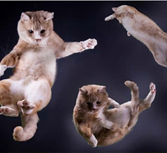 3 Reference Material 2.png