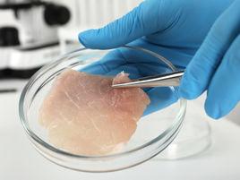The Business of In-Vitro Meat
