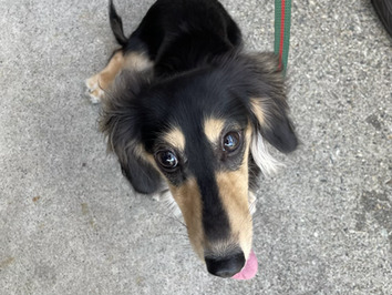 8月のトレーニングの様子♪