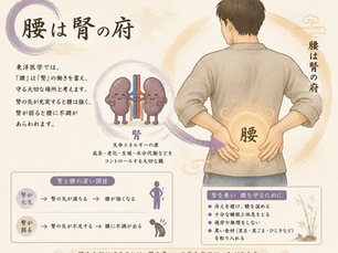 腰は腎の府