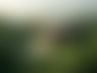 Tendências de Design que Definem o Futuro da Arquitetura