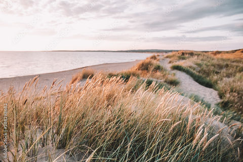 AdobeStock_286298682_Preview.jpeg