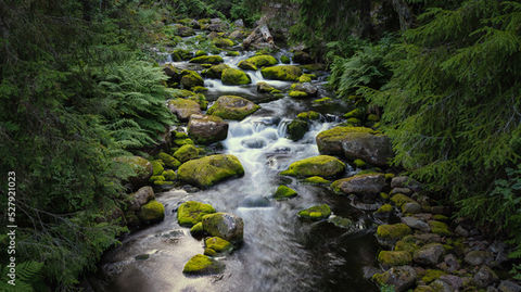 AdobeStock_527921023_Preview.jpeg