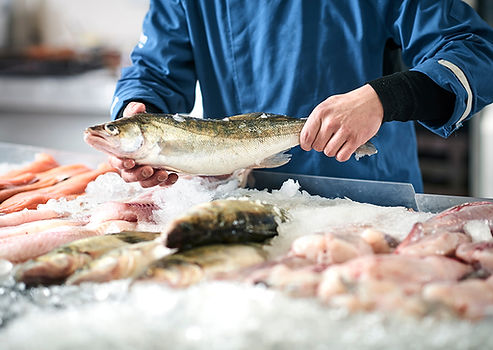 Fisch (web).jpg