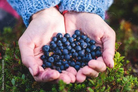 AdobeStock_317804018_Preview.jpeg