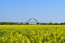 Windspeel Fehmarnbelt.jpg