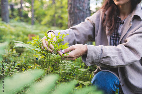 AdobeStock_528561553_Preview.jpeg