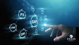 Nova Versão SAP GRC Edition for SAP 4/HANA para 2026.