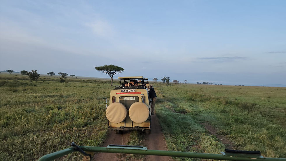 Tourism in AFrica