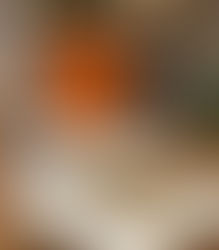 COFFEE & CO IPIRANGA