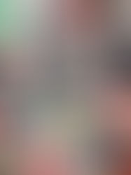 LMFS EMBELLISHMENT - WINTER 26