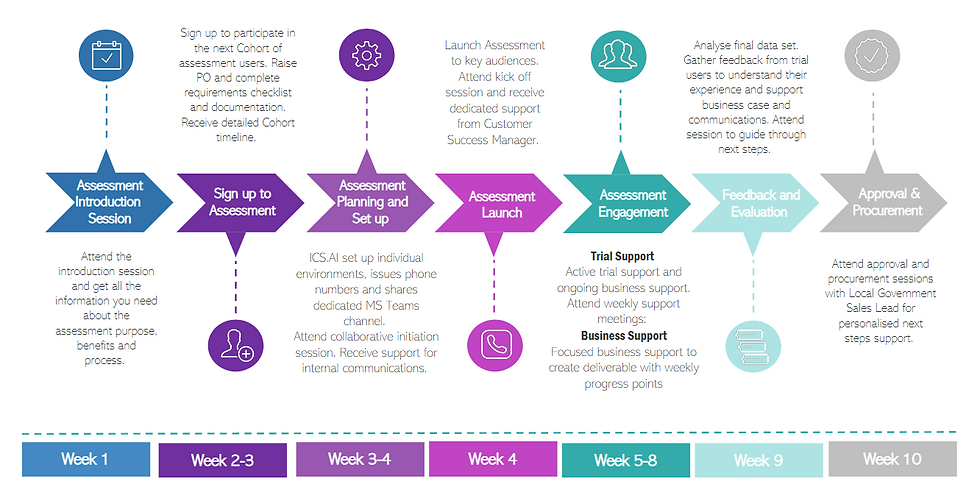 AI Customer Service Assessment Timeline.png