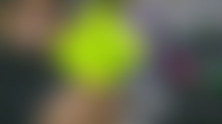 Is AI the final step to CHANNEL SHIFT for local councils?