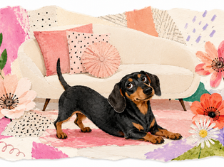 Farbenfrohe feminine Collage mit Dackeldame auf dem Sofa, Menschen am Boden, Hundedecke und humorvollen Papier-Schnipseln als Symbol für Gemütlichkeit, Haustierliebe und das liebevolle Aufgeben von Prinzipien.