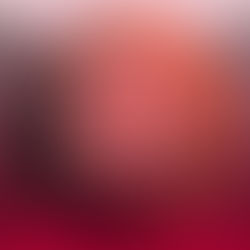 Nuestra meta. Nuestro sueño.