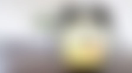 Tipos de madrugadores.