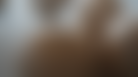 『花美志』柳沼組