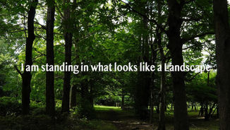 『I am standing in what looks like a Landscape』李傲