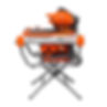 iQTS244 10" Dry Cut Tile Saw