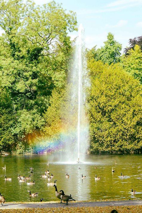 DSC02117_edited.jpg