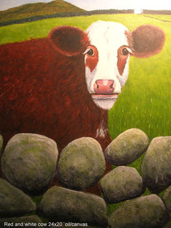 55 The red and white cow (24x20)