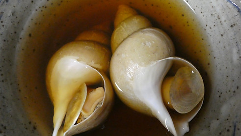 491186_m.jpg