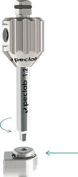 CATRACA - IMAGEM 4 + ANEL ESQUELETICO.png