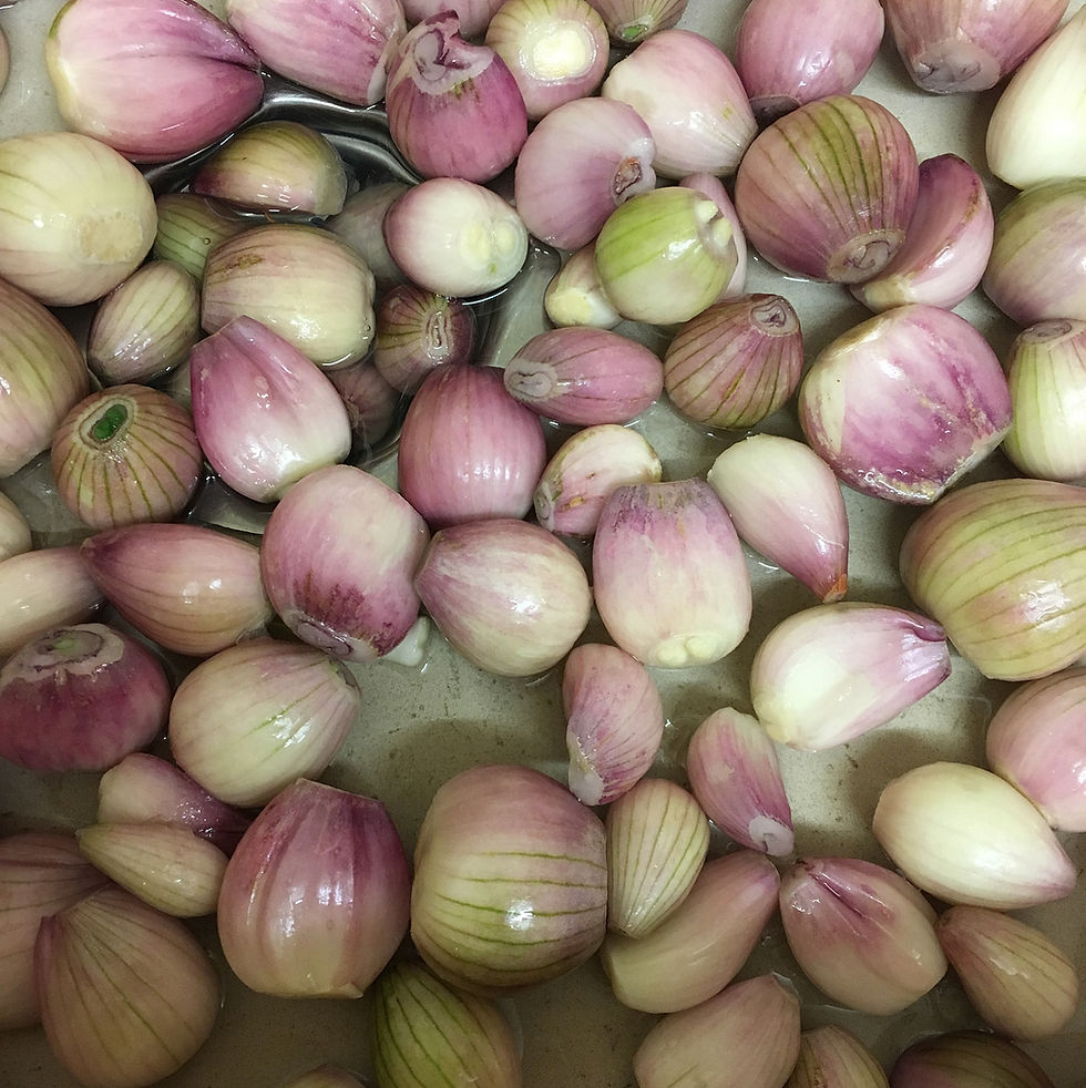 Thumbnail: hand picked shallots ready for pickling