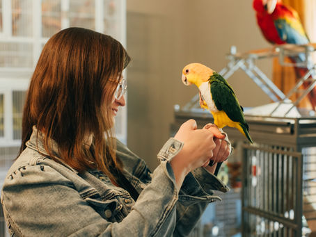 A Heartfelt Thank You From Mulberry Acres Rescue