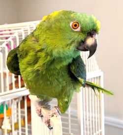 sergio banner_edited_edited