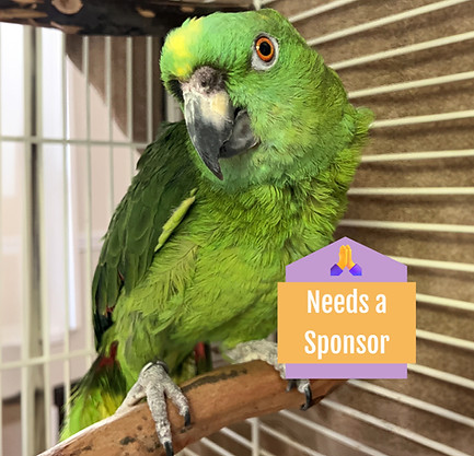 sergio banner 2_edited_edited.jpg