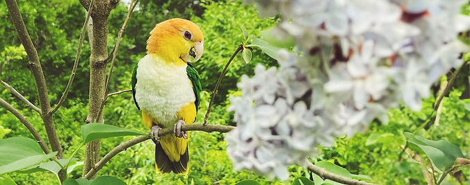 EAC385B0-C664-40E5-A381-4AE606D73198 copy_edited.png