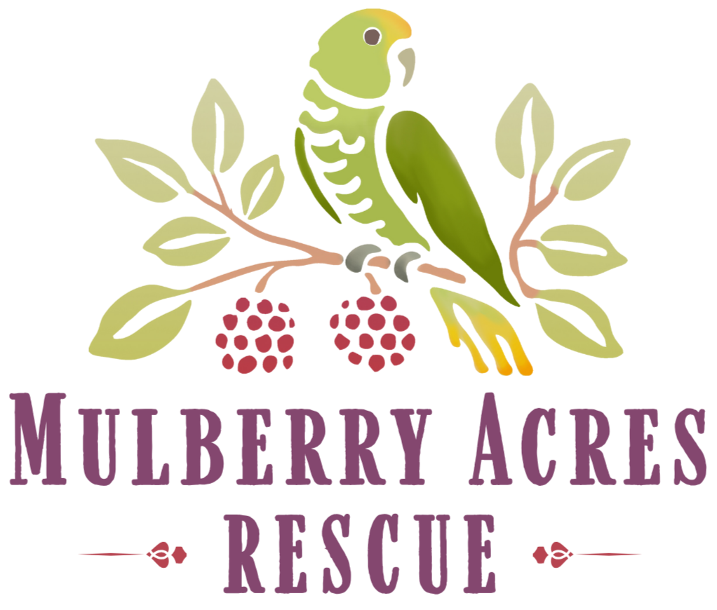 Mulberry Acres logo