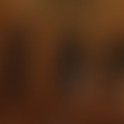 未来アドベンチャー設立経緯