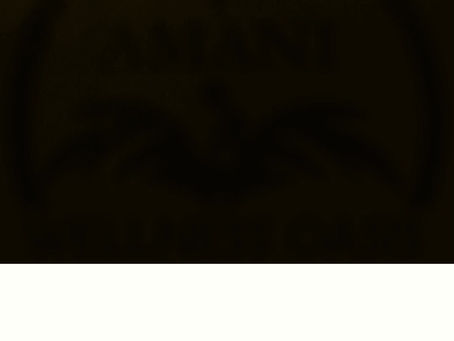 From Desert to Oasis: Amani Wellness Has Been Transformed Just for You