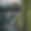 vertical garden, blurred bridge over main river in frankfurt in the background (4).png