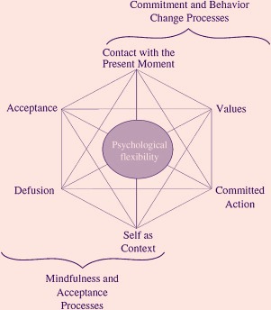 Acceptance and Commitment Therapy core processes