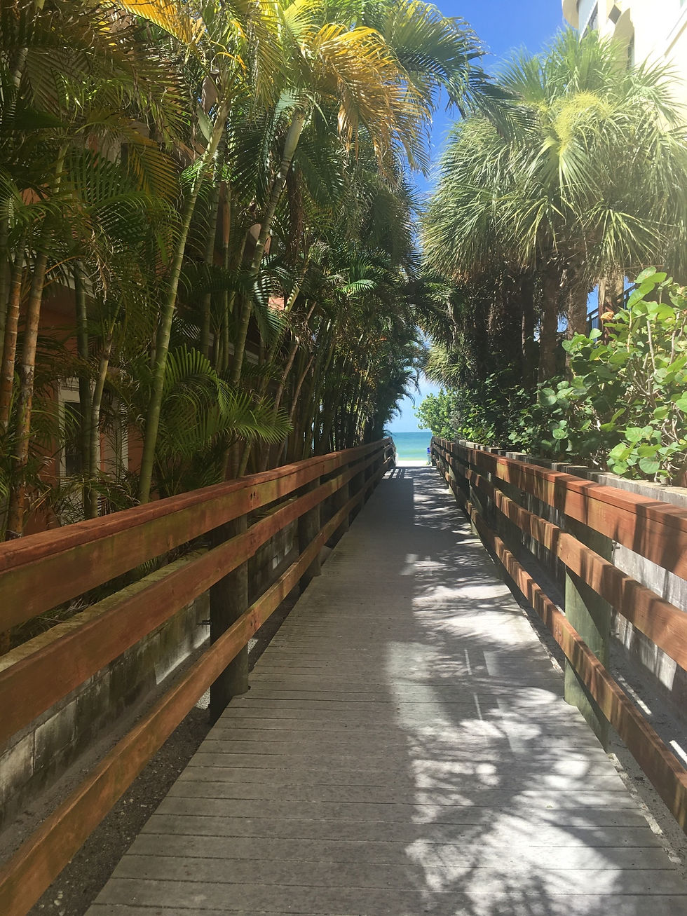 Board Walk