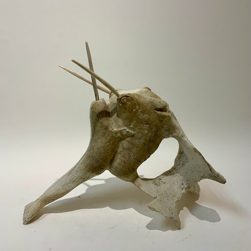 Thumbnail: Jaco Ishulutaq (1951)